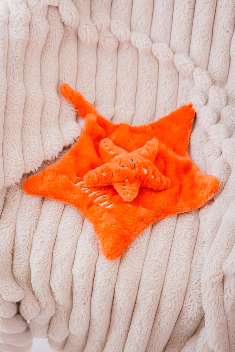 baby personalised recycled star fish comforter | personalised star fish comfort blanket | embroidered recycled star fish comforter | sustainable baby star fish comfort toy