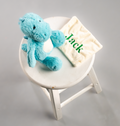 Dinosaur personalised plush toy comforter